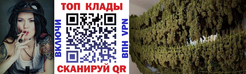 Магазины продажи наркотиков Нижнекамск kraken   Codein  А ПВП  ГАШИШ  Псилоцибиновые грибы  Cocaine  Меф мяу мяу  Конопля 