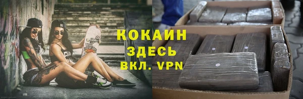прущая мука Богородицк