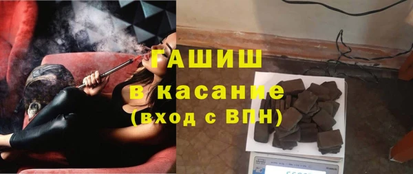 прущие грибы Богданович