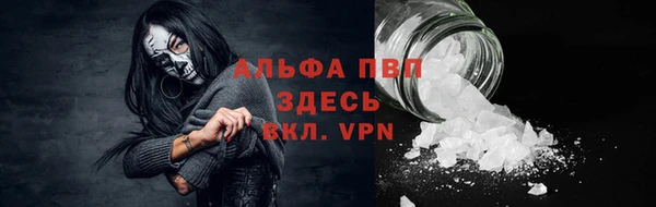 прущие грибы Богданович