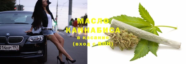 прущие грибы Богданович