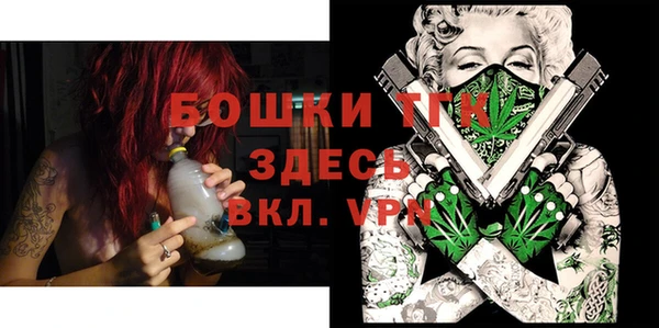 прущие грибы Богданович