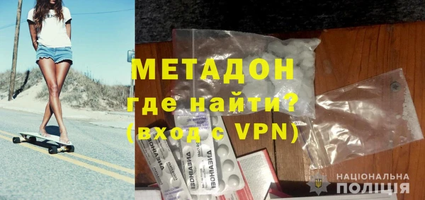 прущие грибы Богданович