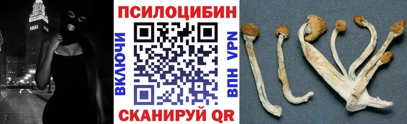 мега рабочий сайт Нижнекамск Галлюциногенные грибы Psilocybine cubensis